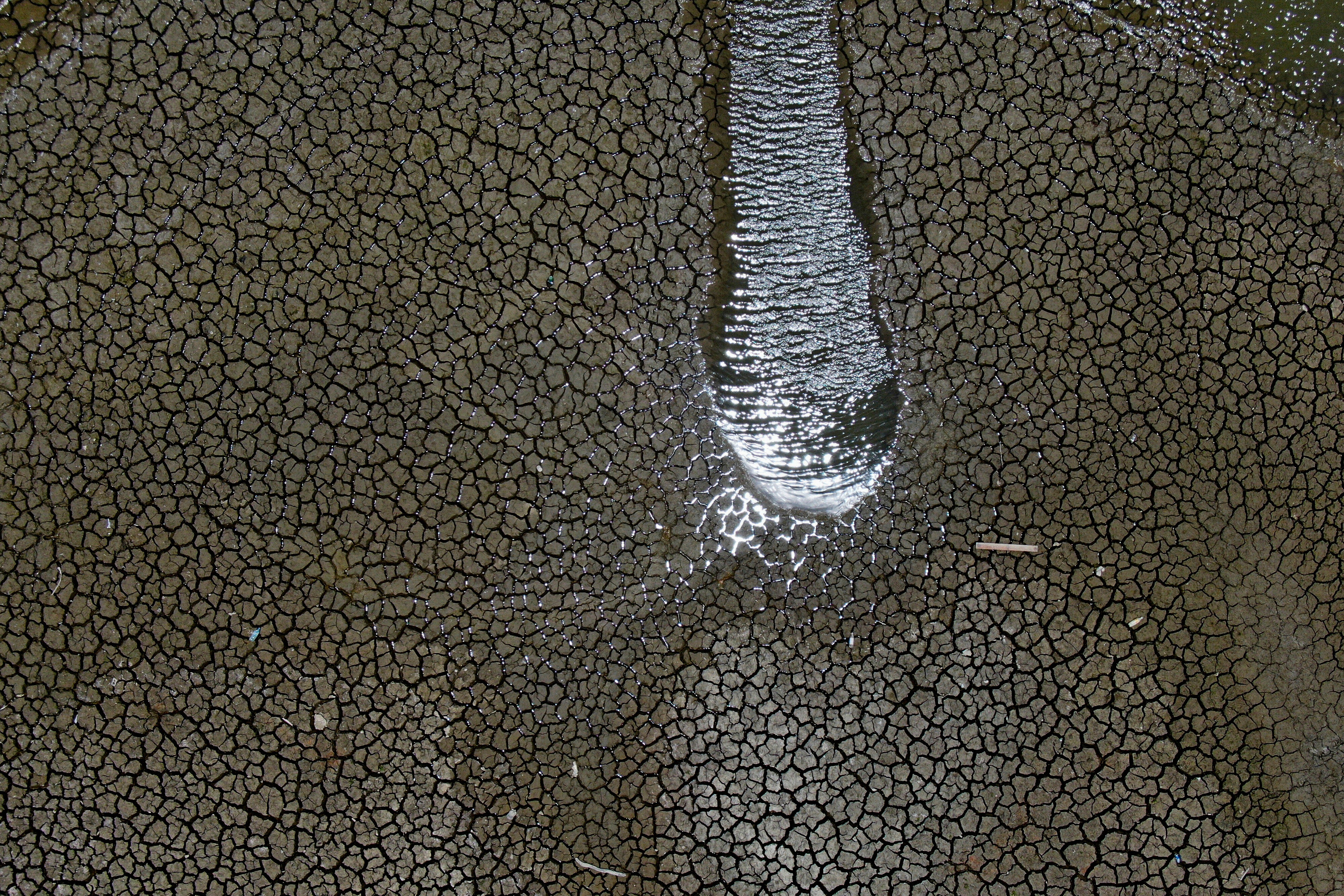 Climate Migration Explainer