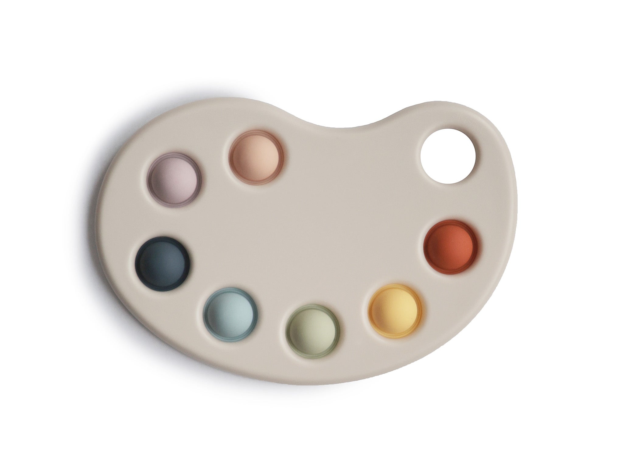 Mushi paint palette pop it toy 