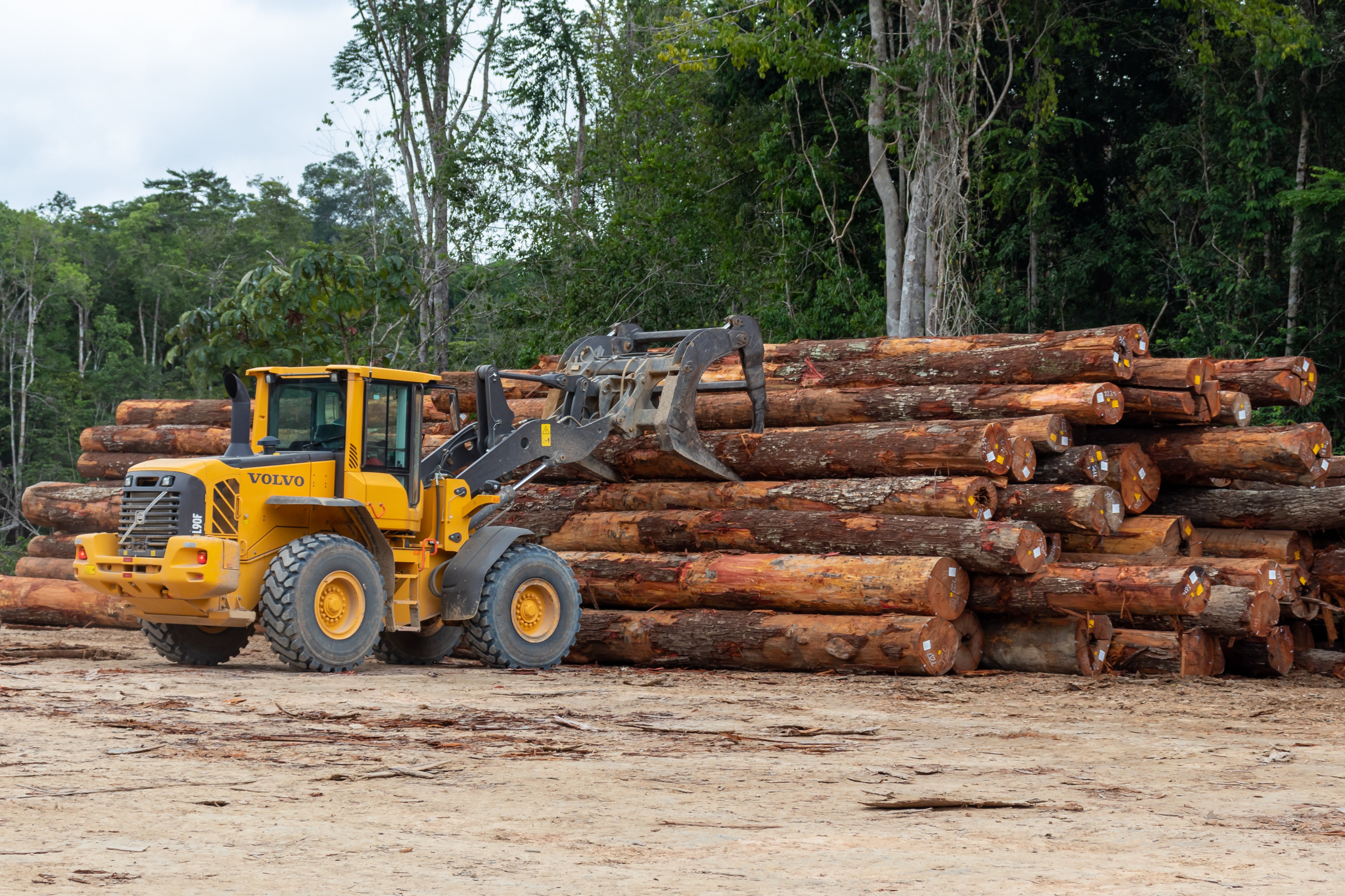 Brazil grants permit for major road through middle of Amazon rainforest