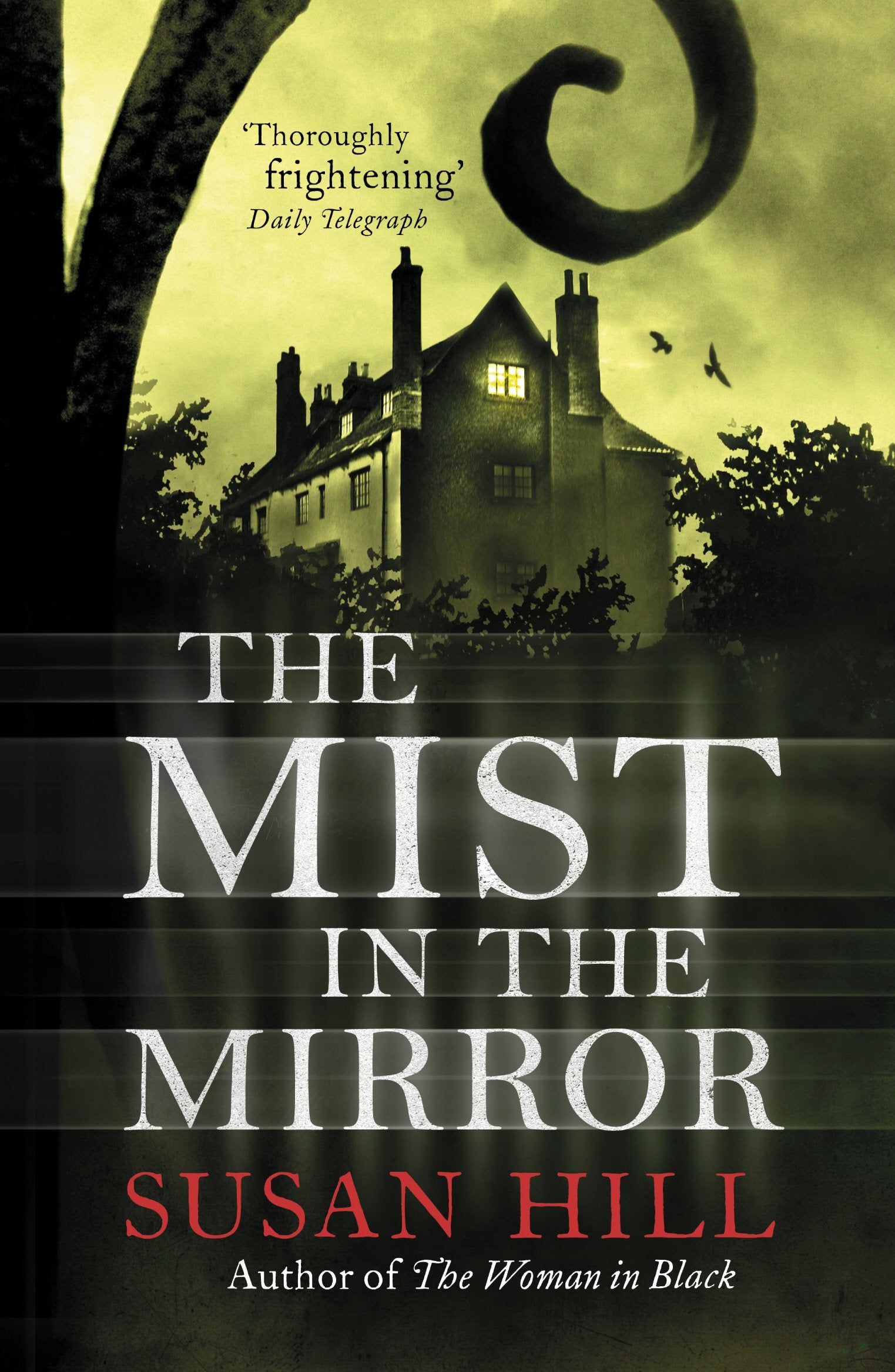 I remember gasping aloud at a particular twist in Susan Hill’s ‘The Mist in the Mirror’