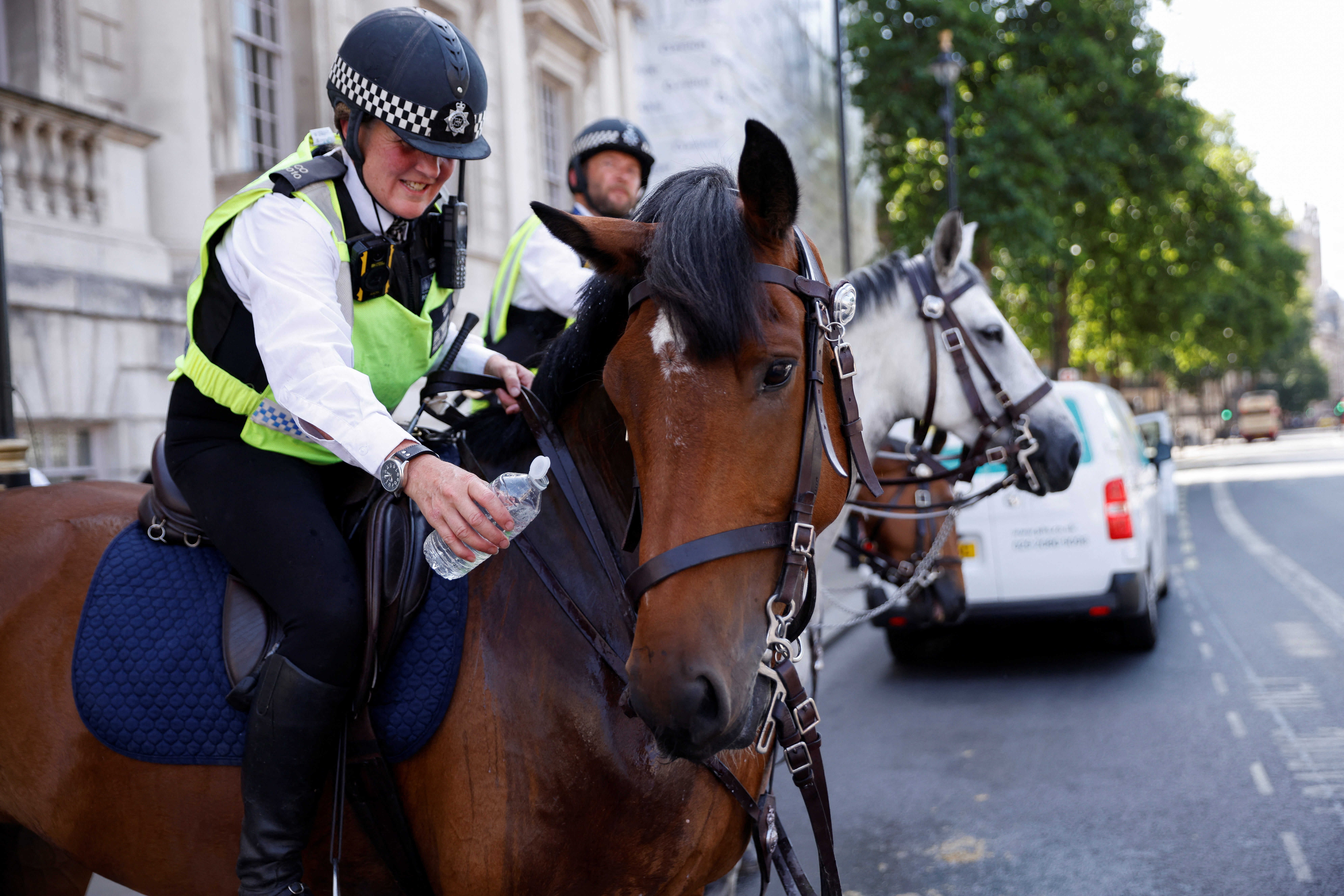 A police officer offers a bottle of water to a police horse named Zack during hot weather, on 18 July