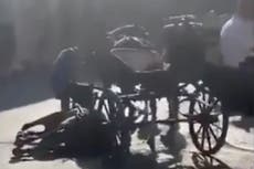 Horse collapses while pulling tourists in Mallorca in 40C heat