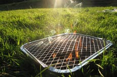 Two men charged with arson after disposable barbecue started fire in country park