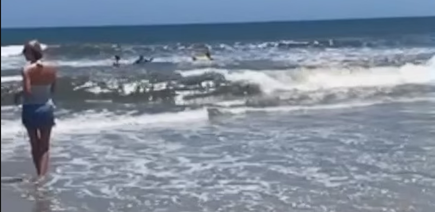 Seemingly unaware beachgoers are seen swimming close to the shoreline at a north Florida beach while a pair of sharks coasts by metres away