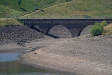 Heatwave: England records driest July since 1935