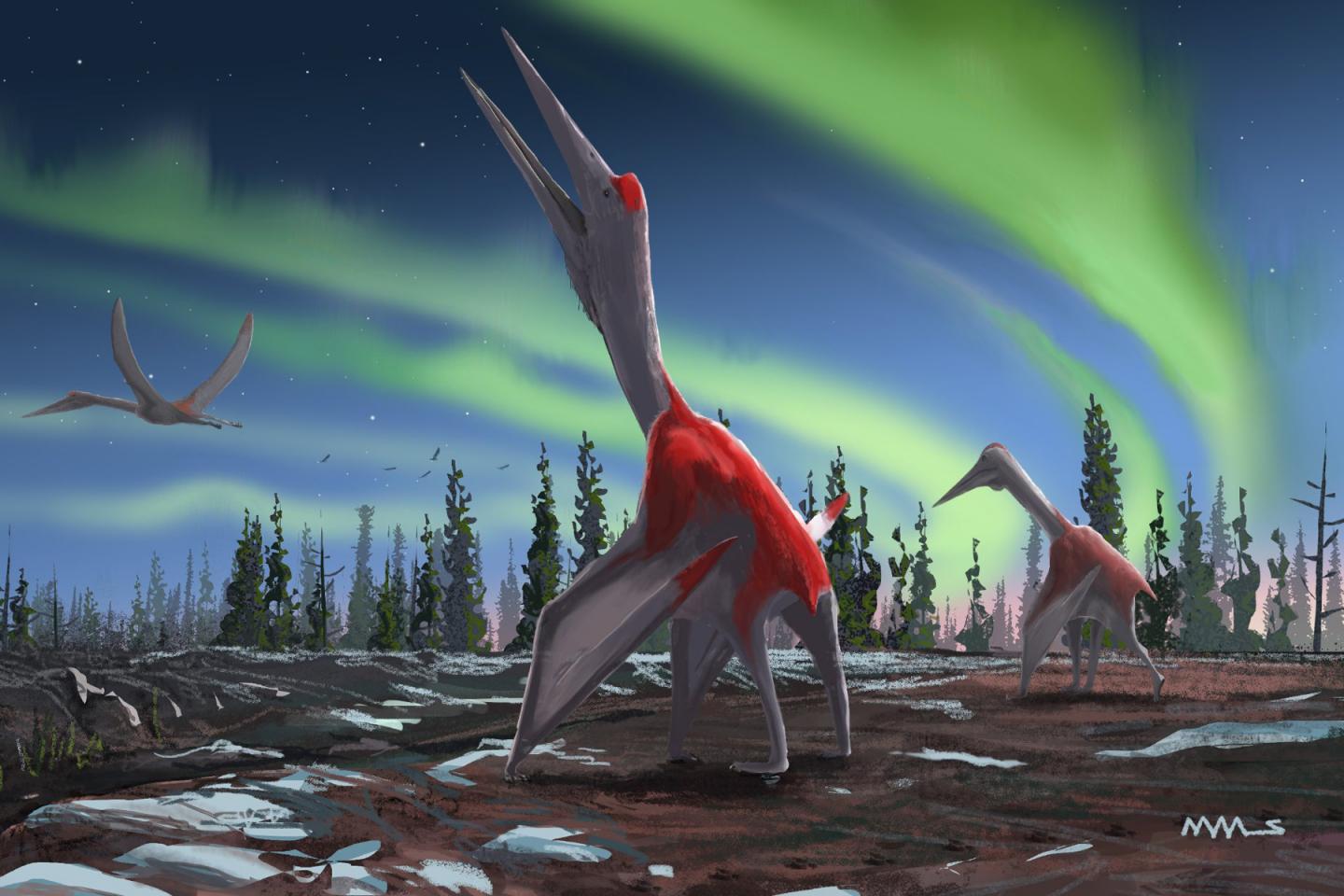 Artist illustration of species of pterosaur, Cryodrakon boreas, that dominated the skies above North America