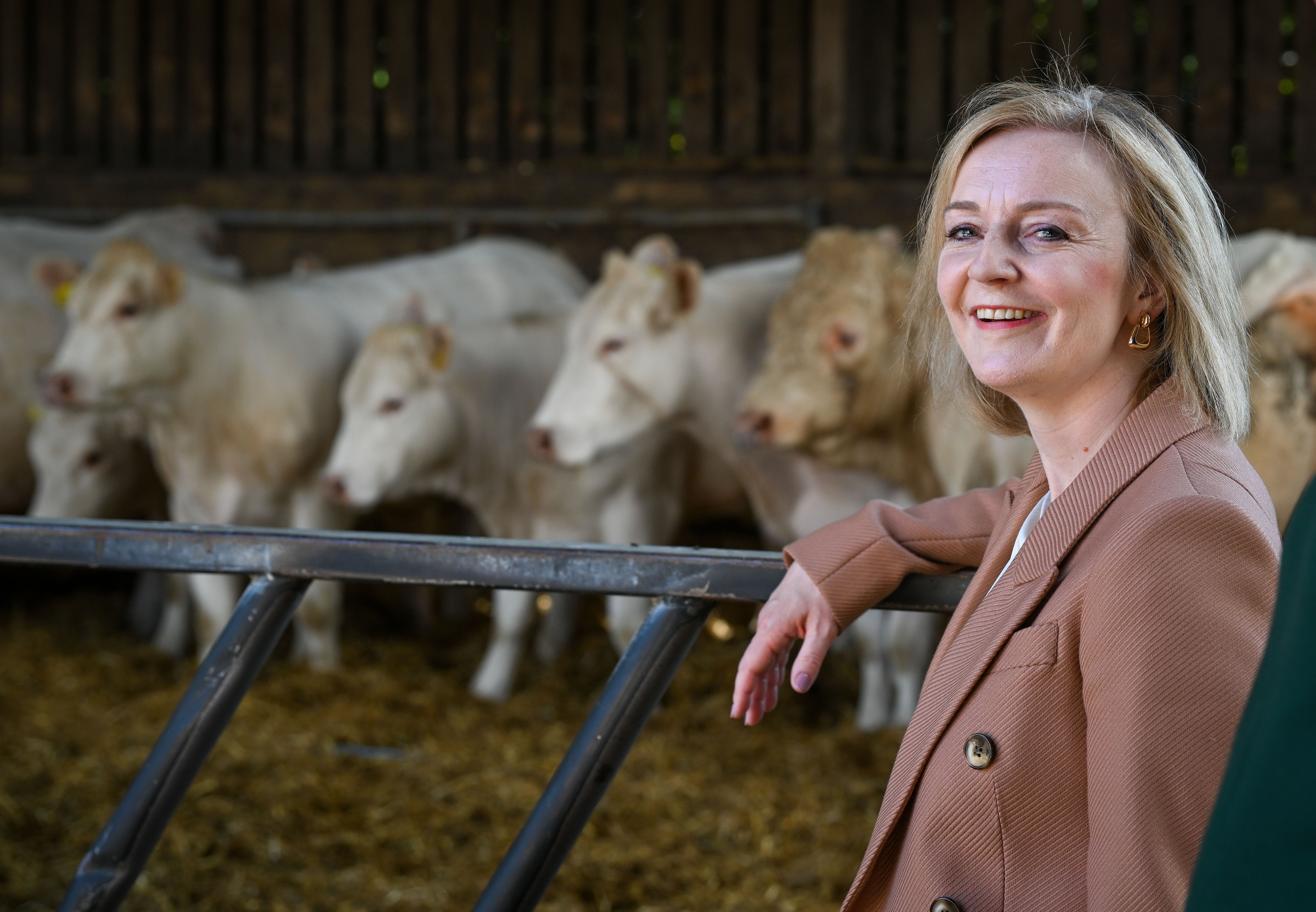 Liz Truss is widely seen as the frontrunner to be the next prime minister (Finnbarr Webster/PA)