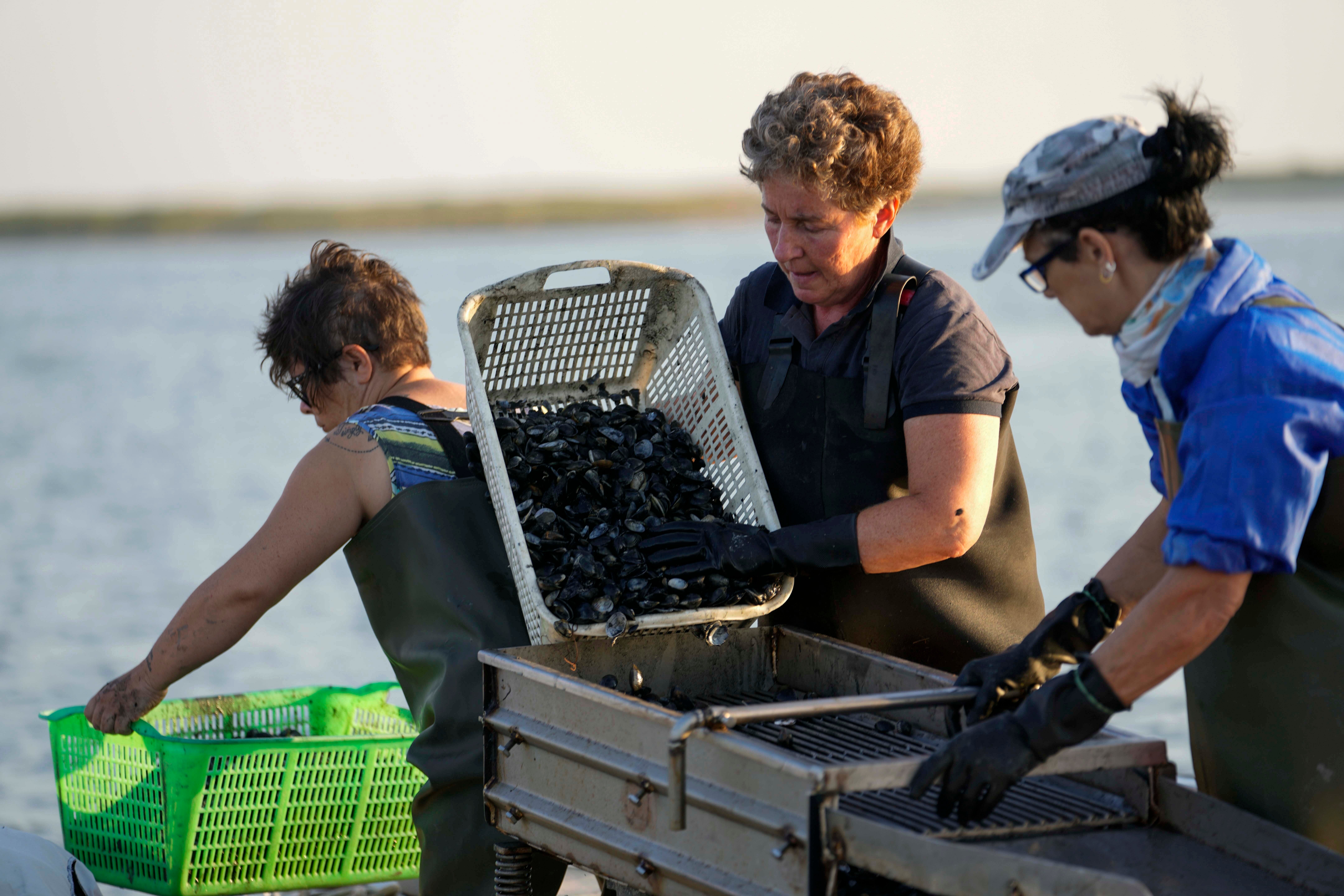 Italy Drought Po Delta