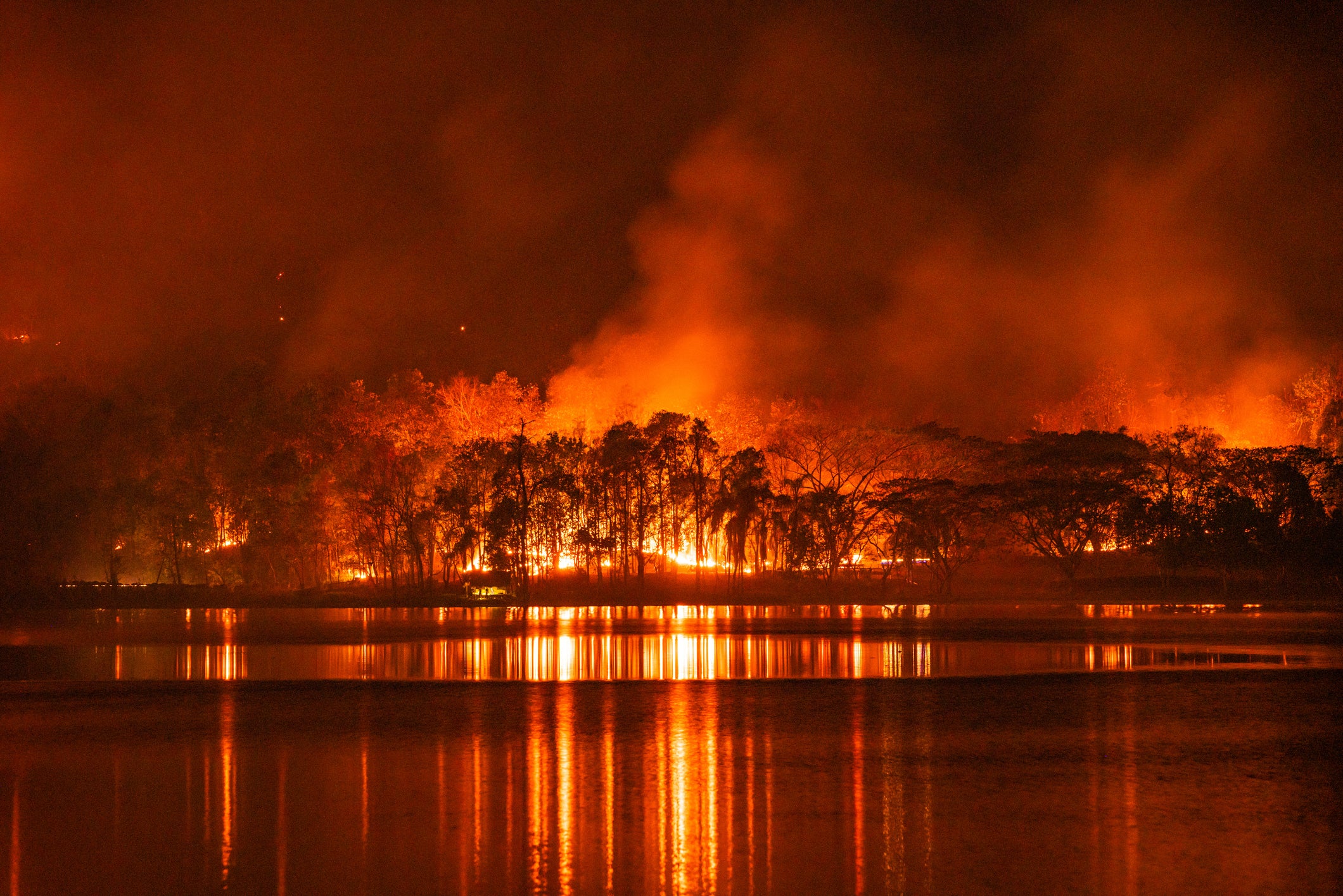 A wildfire in Thailand in 2020. Wildfire risks have increased here and in many parts of the world due to hotter drier conditions