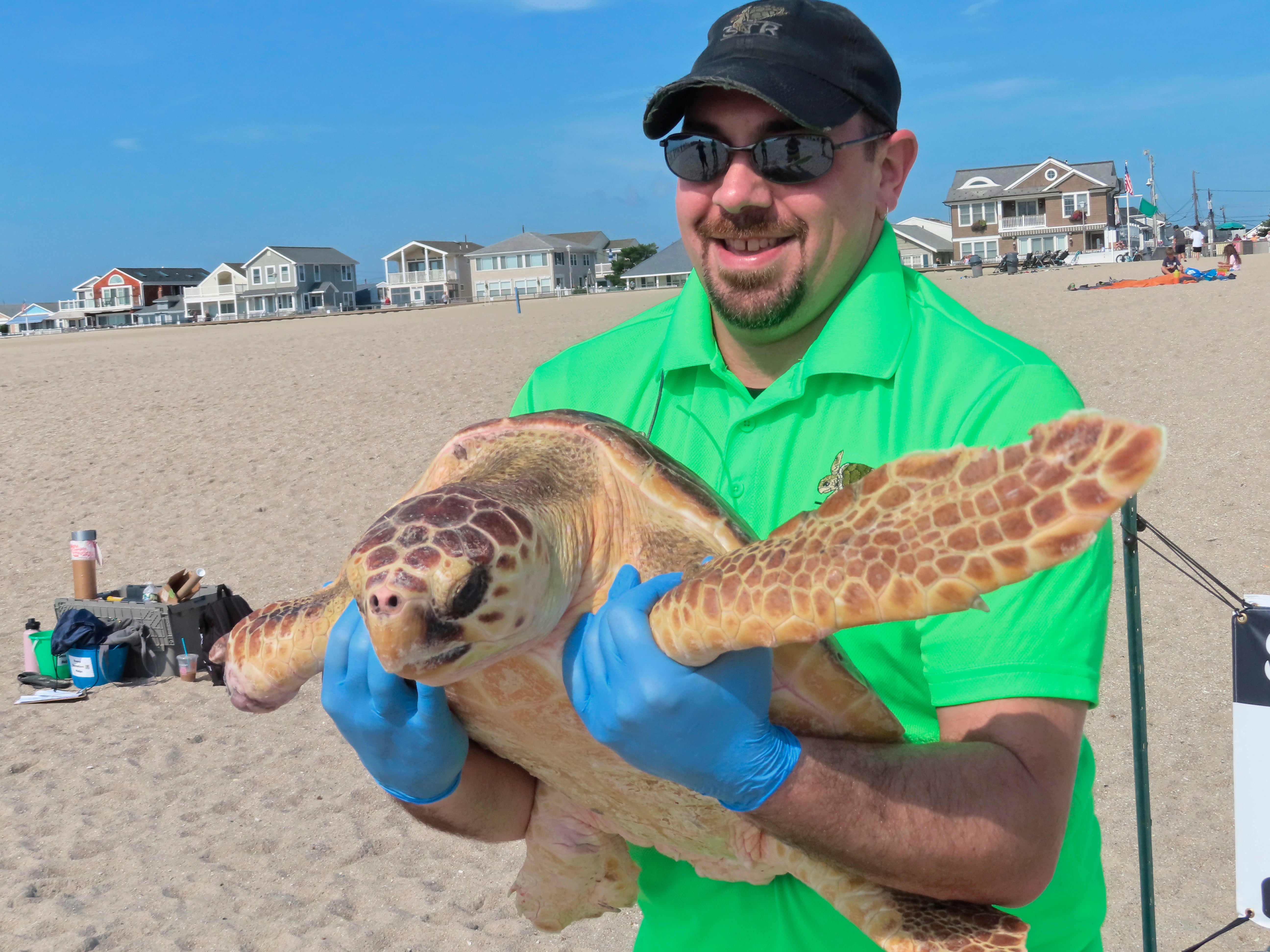 Rescued Sea Turtles