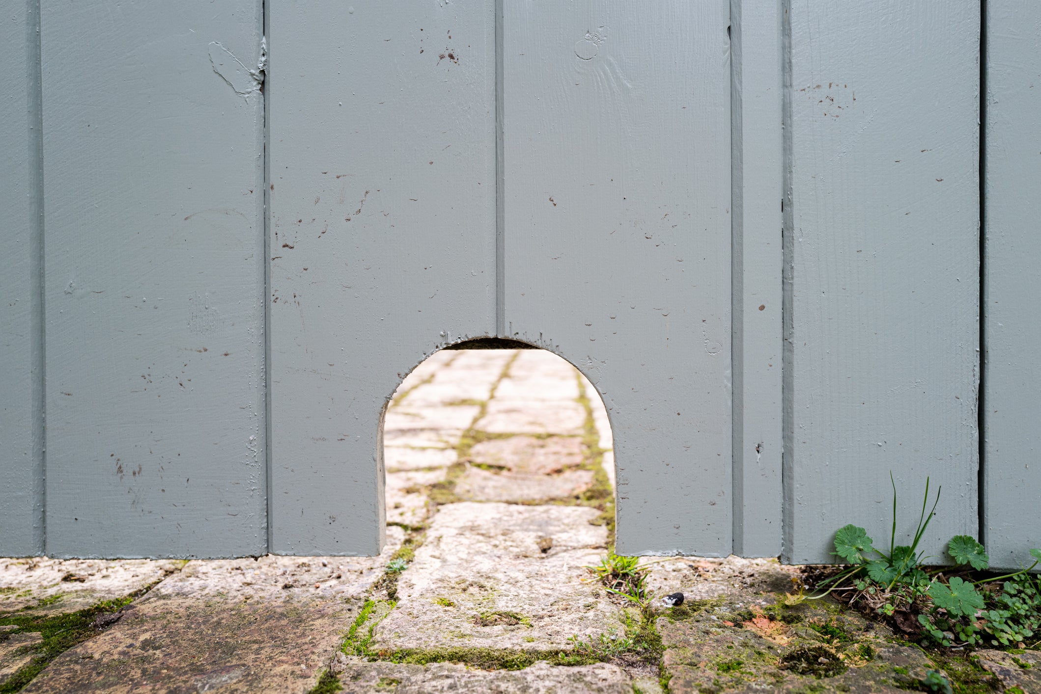 The holes need to be just 13cm high to allow hedgehogs free movement between gardens