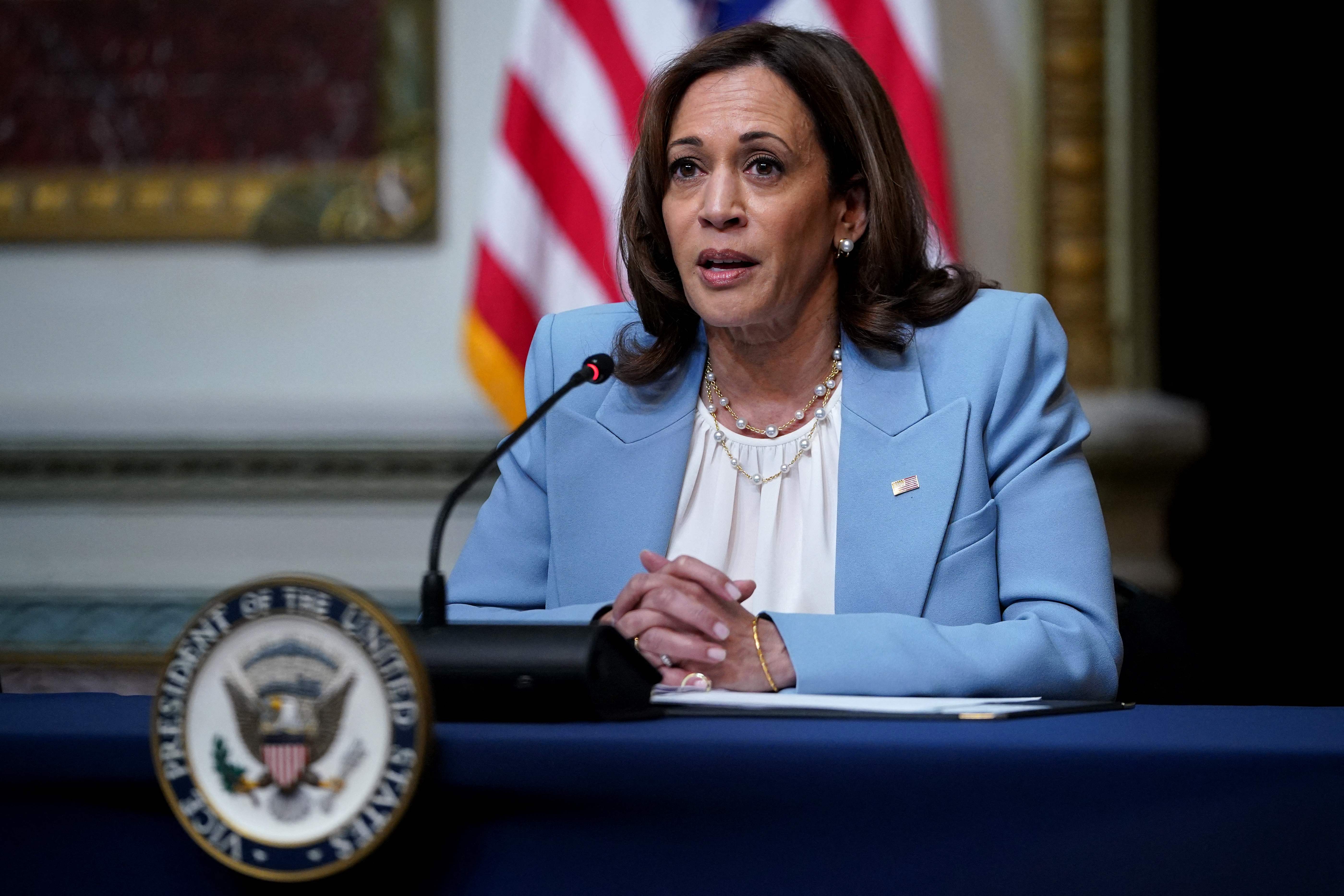 Vice President Kamala Harris addresses an Interagency Task Force on Reproductive Healthcare Access at the White House on 3 August.