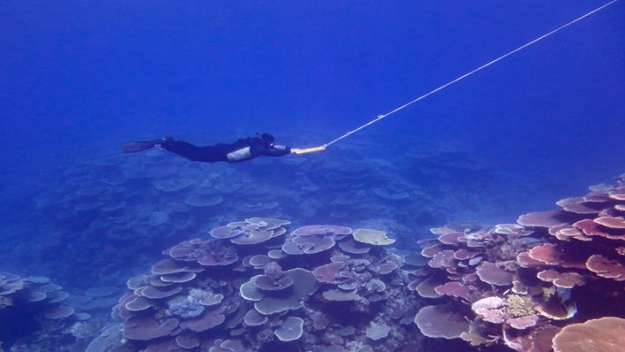 The reef is 2,300km (1,400 miles) in length