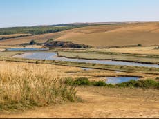 Government has ‘no plan’ for ‘preventable’ drought that threatens wildfires and food supplies