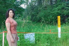 One woman’s fight’s to save peaceful Canadian paradise from destructive pipeline expansion: ‘We need those places right now’