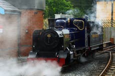 Grown-ups need play time too