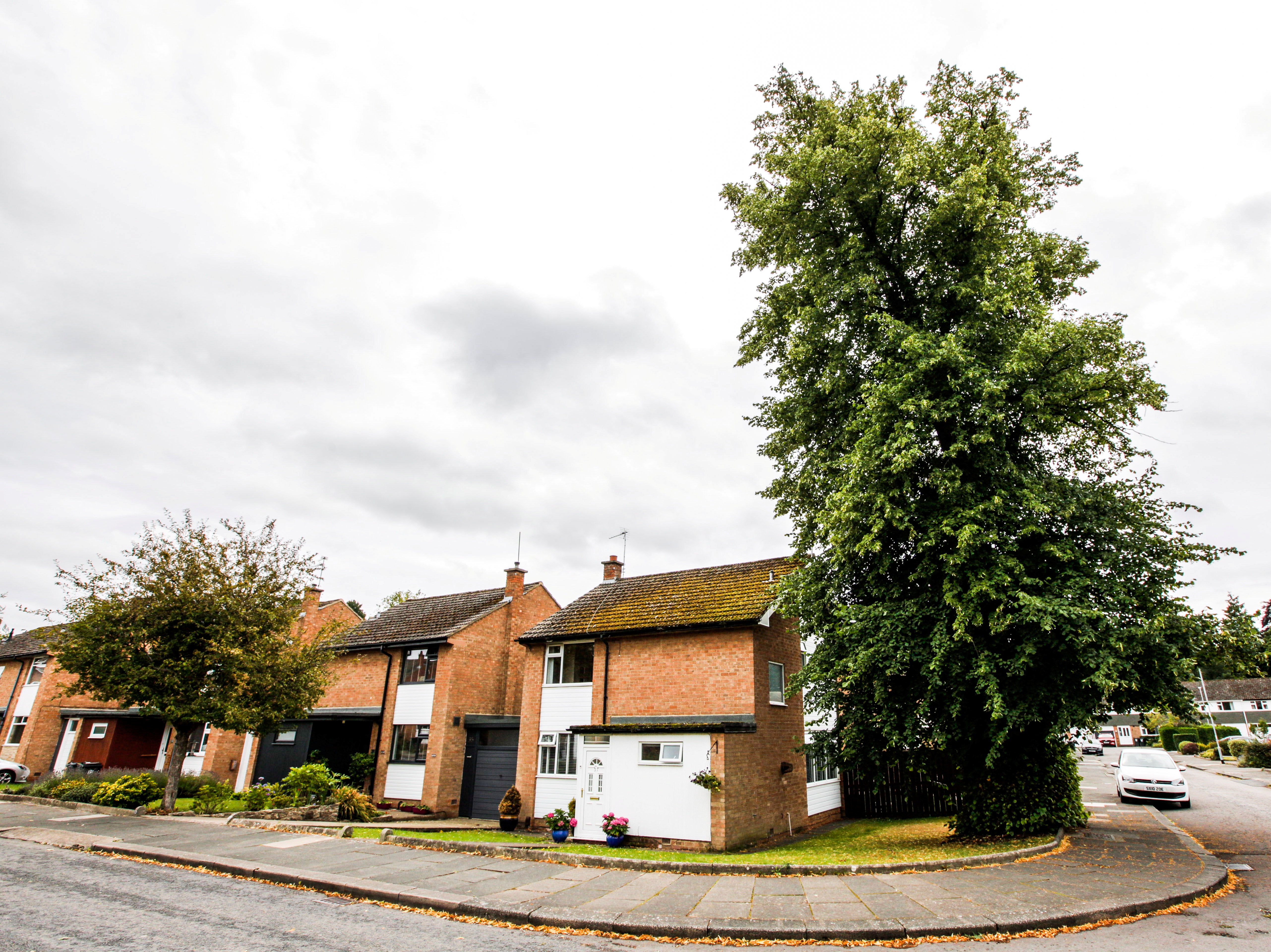 No pruning can be carried out without permission from Darlington council