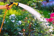How to look after your garden during the hosepipe ban