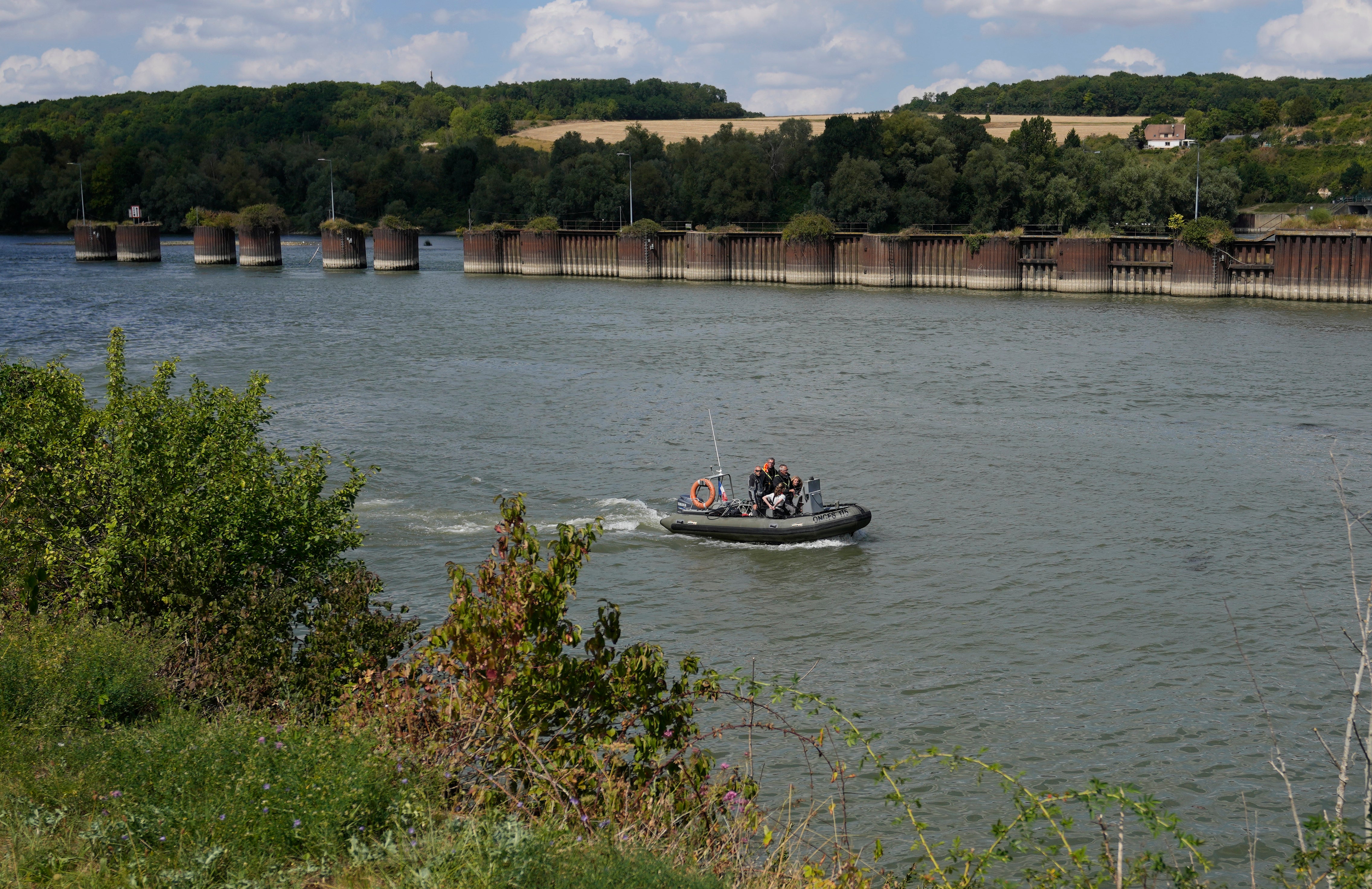 France Whale in Seine