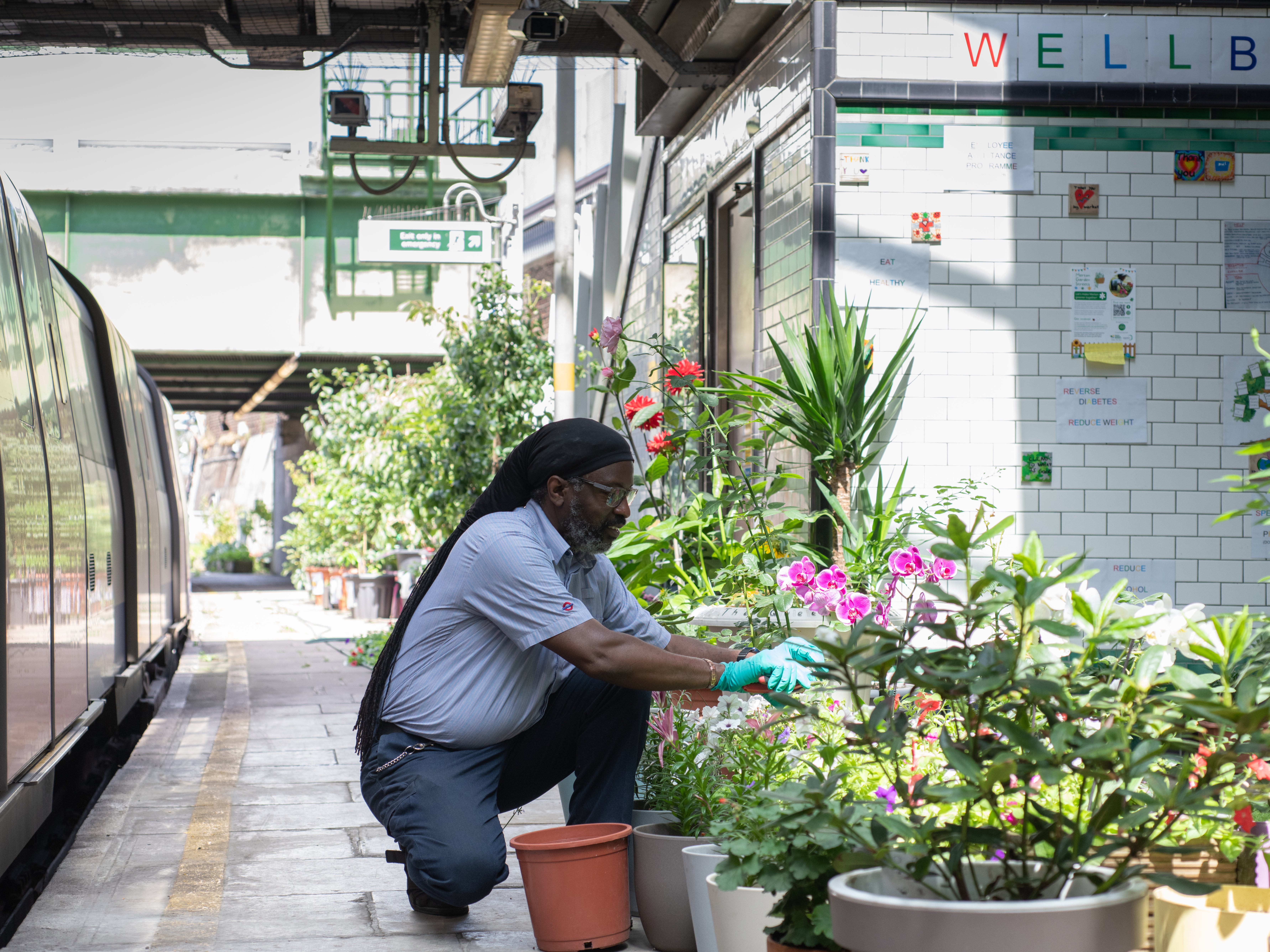 Customer service manager Tony helped create the platform garden at Morden station