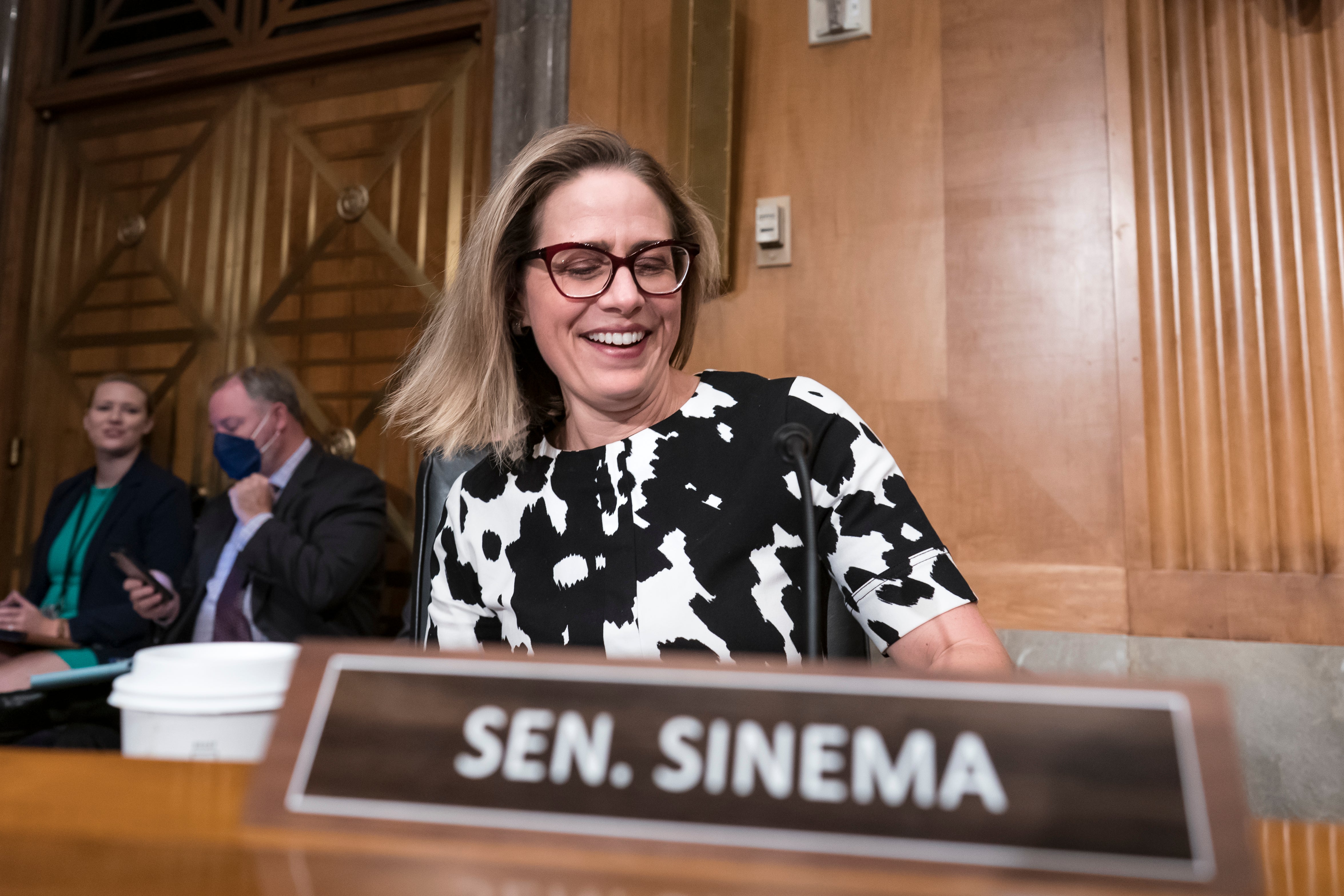 Congress Budget Sinema