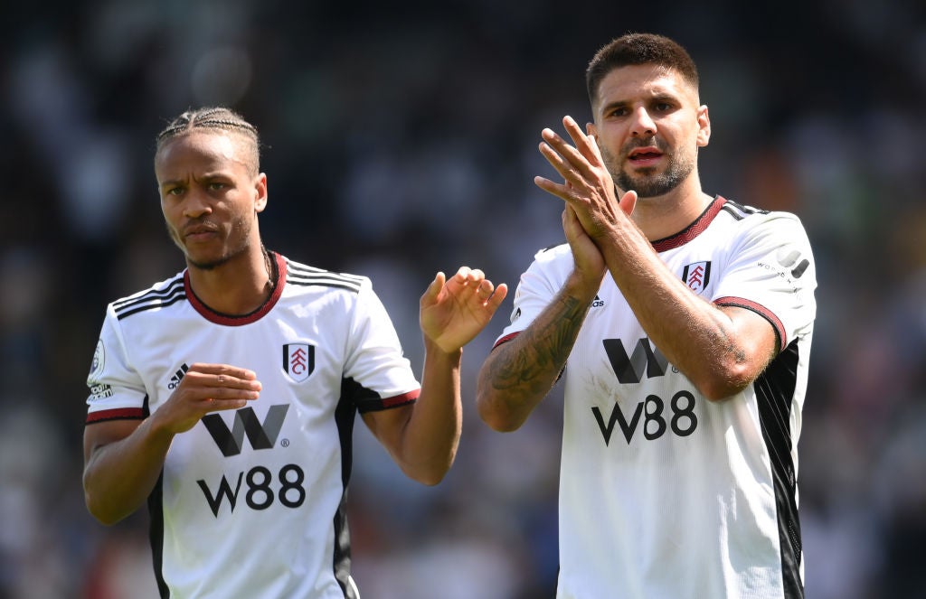 Fulham’s new faces and old give early optimism over survive and thrive Premier League plans