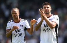 Fulham’s new faces and old give early optimism over survive and thrive Premier League plans