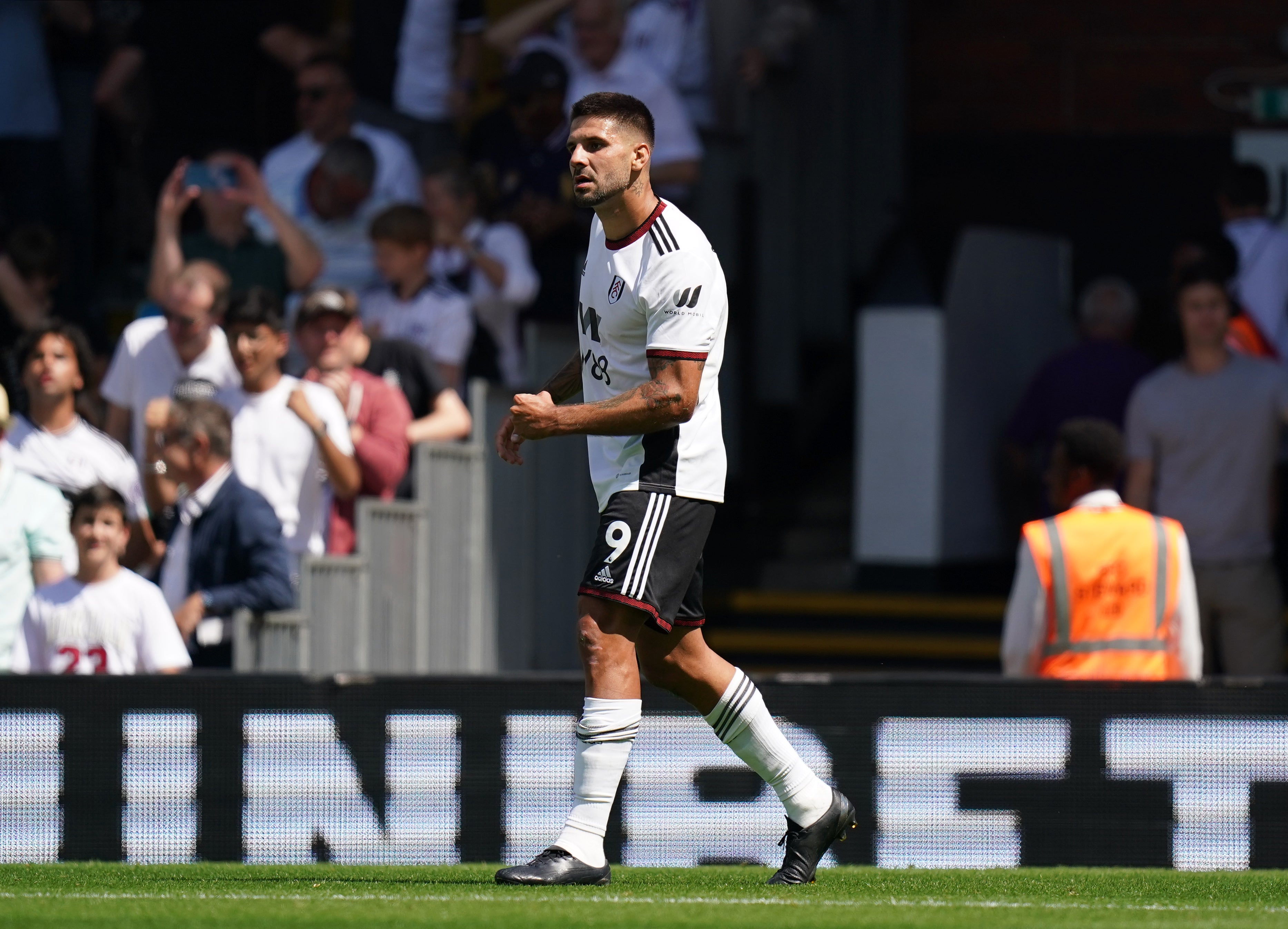 Aleksandar Mitrovic scored twice for Fulham (Adam Davy/PA)