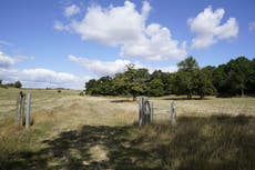 ‘Unusually dry’ August sees highs of 28C due on Sunday as heatwave continues