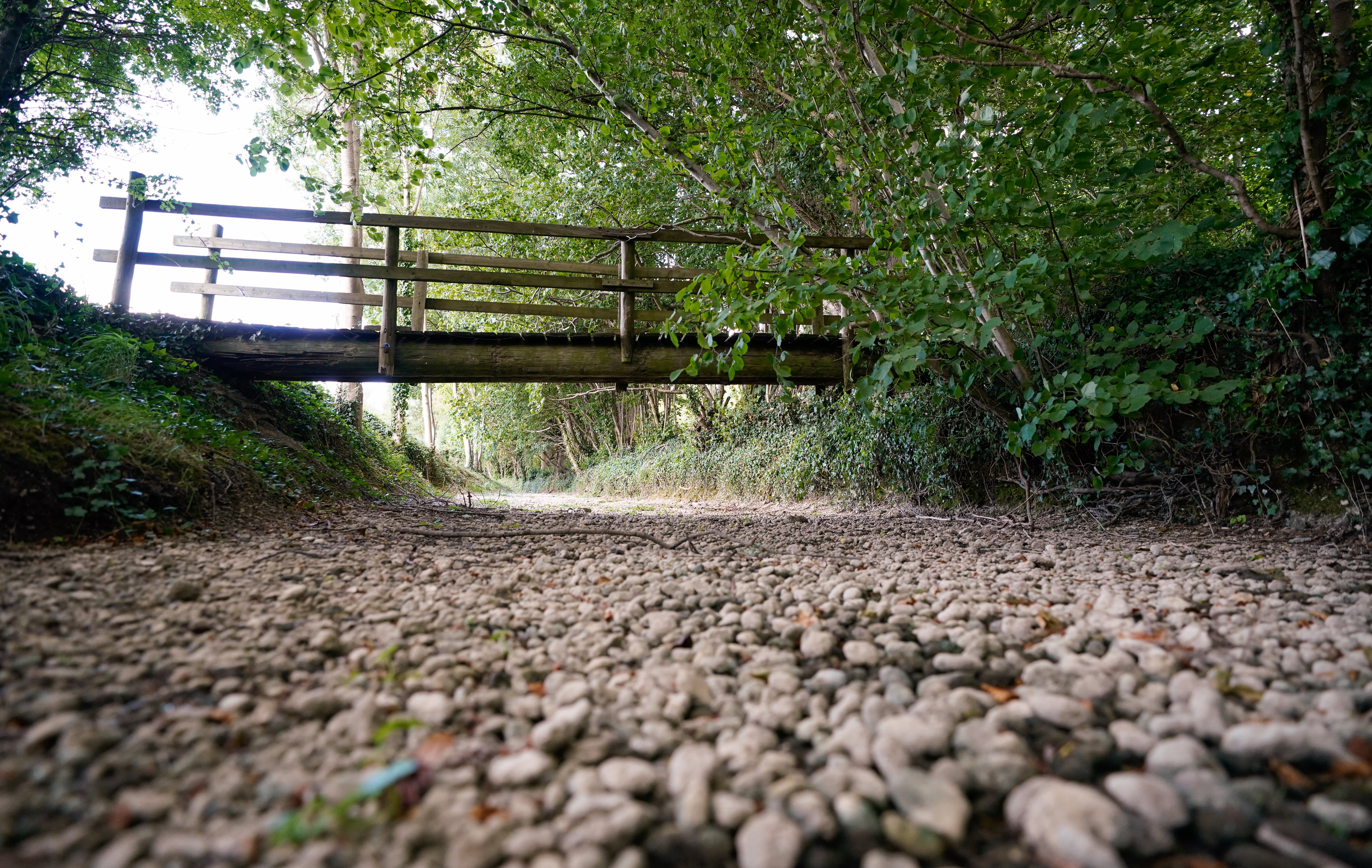 A dried-up river bed of the River Thames near Somerford Keynes in Gloucestershire (Andrew Matthews/PA)