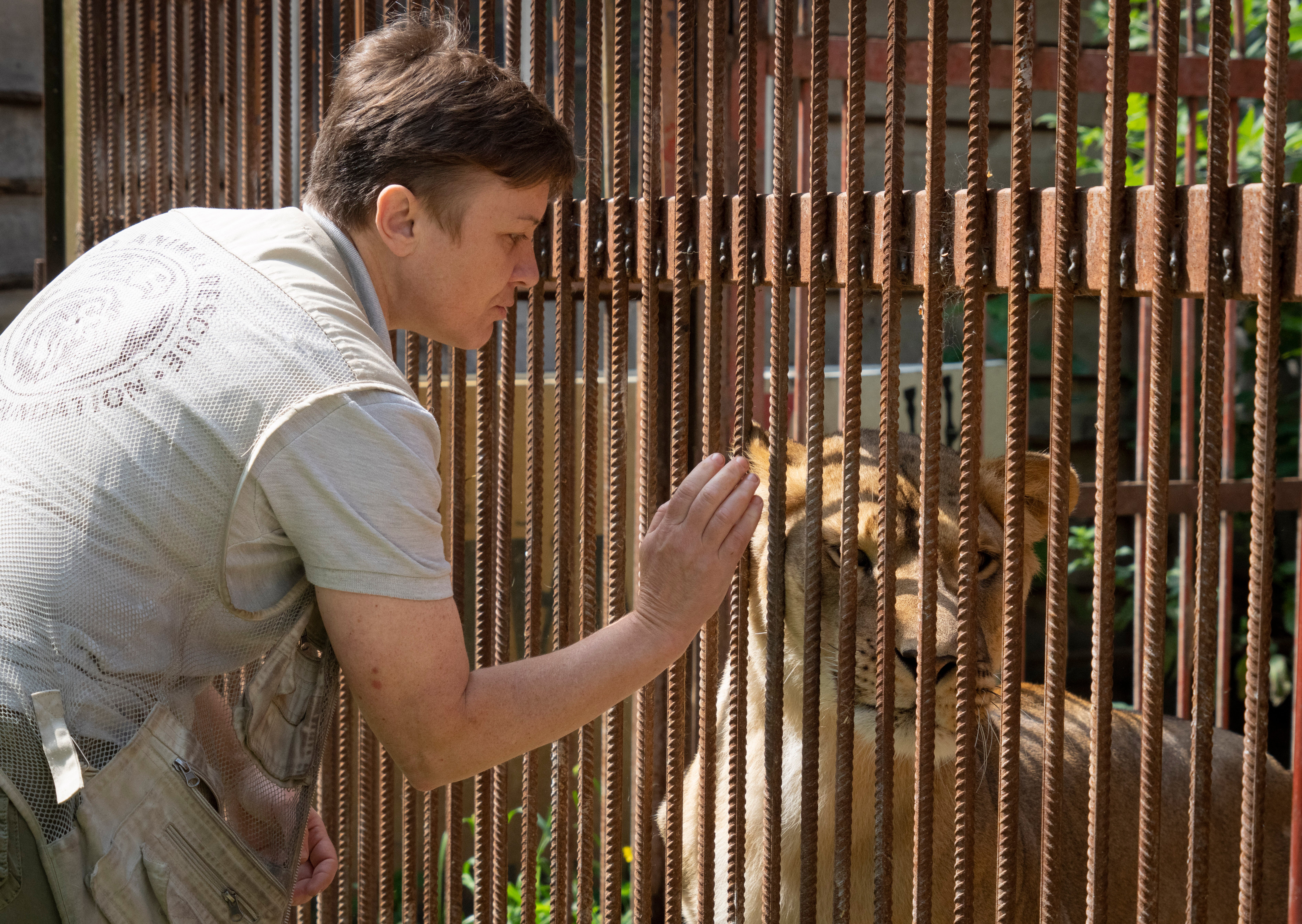 Russia Ukraine War Animals