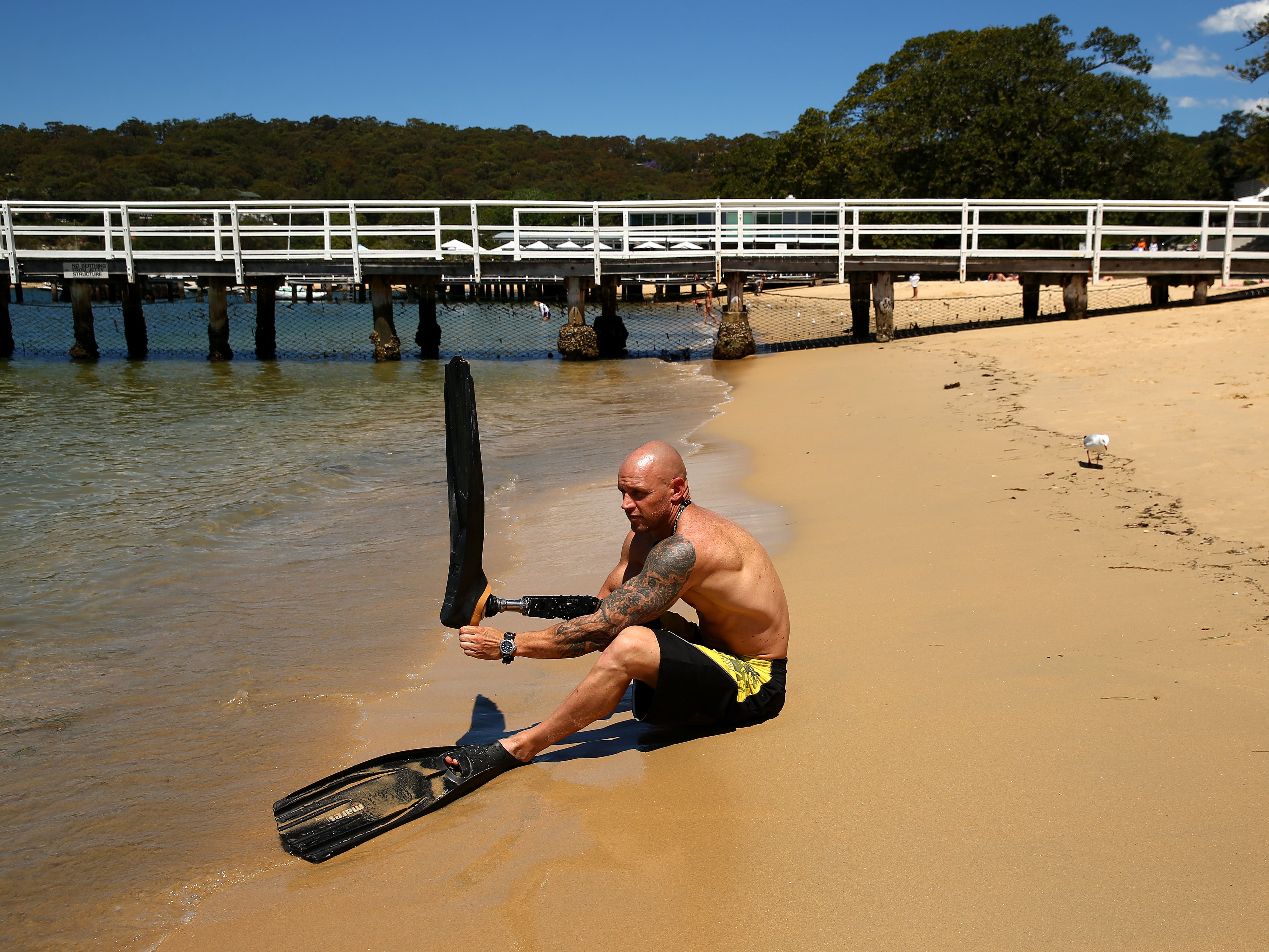 Former paratrooper believes shark mistook him for another sea creature because of the black wetsuit and flippers he was wearing