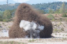 WWII bomb detonated after being found in drought-hit Italian river 