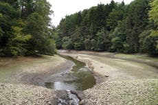 Drought: what is it and what can be done about it?