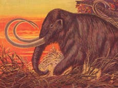 Woolly mammoths are making a comeback. Should we eat them?