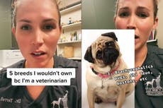 These are the five dog breeds a TikTok vet says she would never own