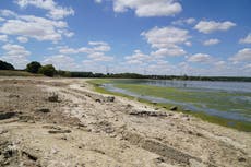 Much of UK to see heatwave conditions as hot and dry weather continues