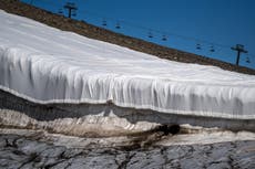 ‘Devastating’ Alpine glacier melt during heatwave reveals human bones and aircraft wreckage