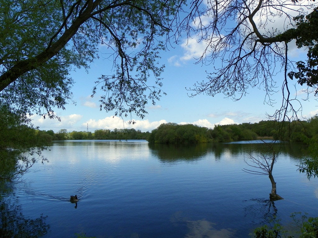 Police were called when the boy didn’t resurface while swimming in the lake