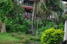 Woman arrives at luxury Bali Airbnb to find spooky, overgrown ‘ghost villa’