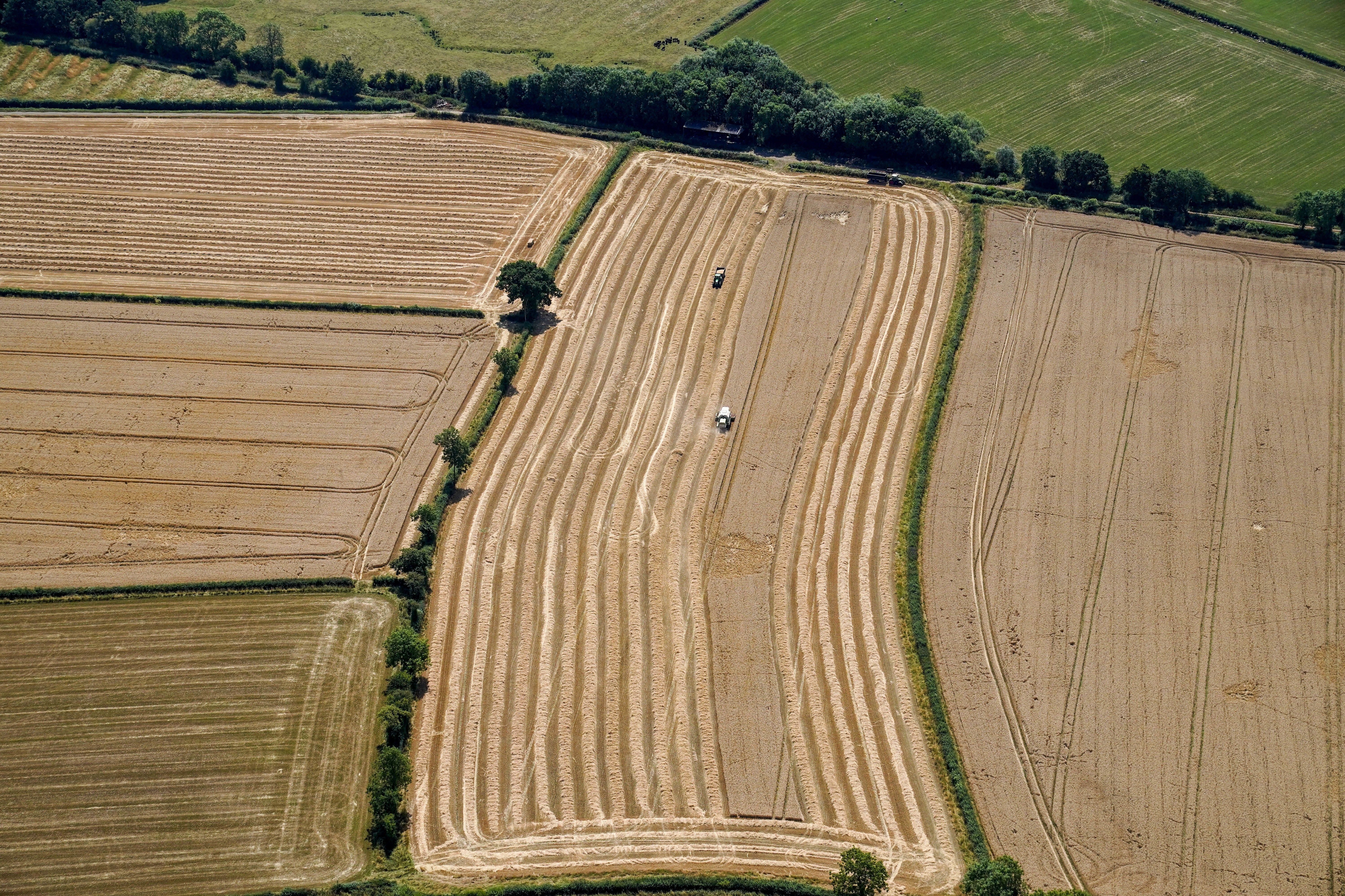 A field of wheat near Cotswold Airport, Gloucestershire (Steve Parsons/PA Wire)