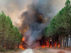 Wildfire in southwestern France: 6,000 people evacuated