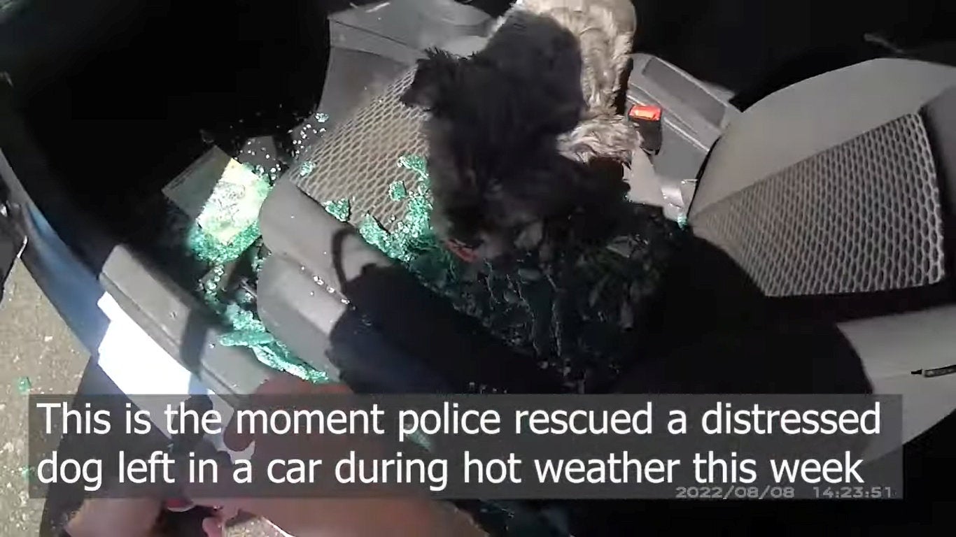 Officers smashed the window of the car to rescue the distressed dog from the vehicle