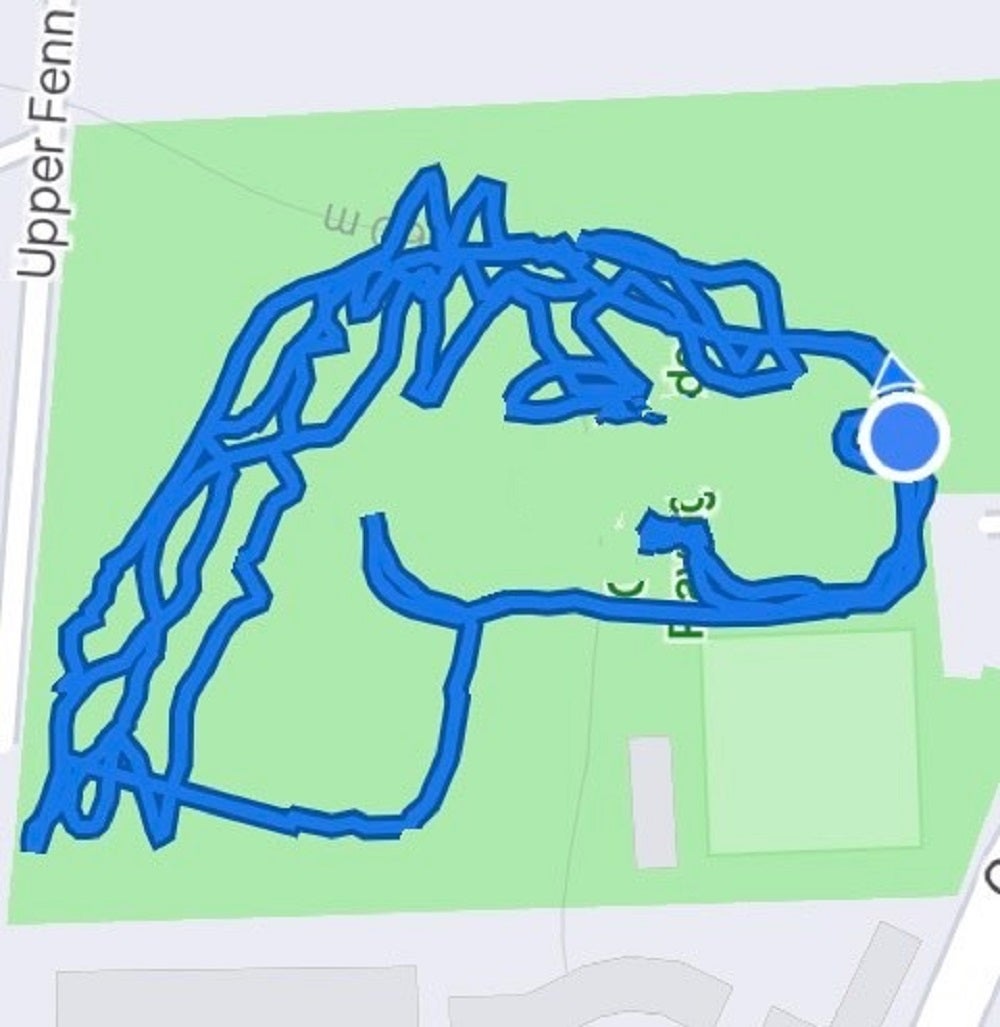 One fundraiser has clocked up 22 miles by walking routes in the shape of animals which can be seen on her mapping app (Caroline Richardson/RSPCA/PA)