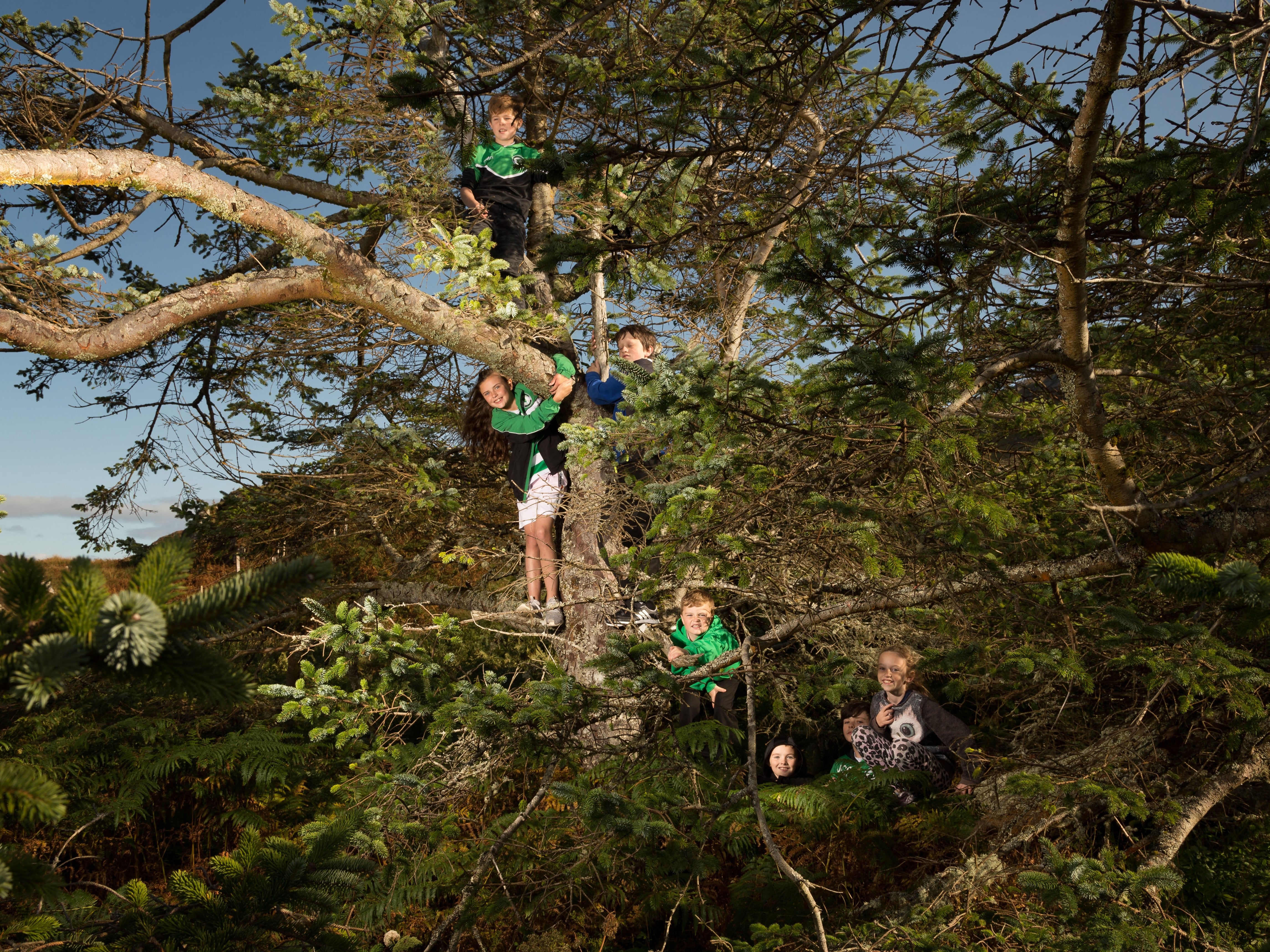 Netty’s Tree on the Outer Hebridean isle of Eriskay