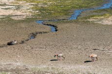 UK bakes in latest heatwave with drought looming for some areas