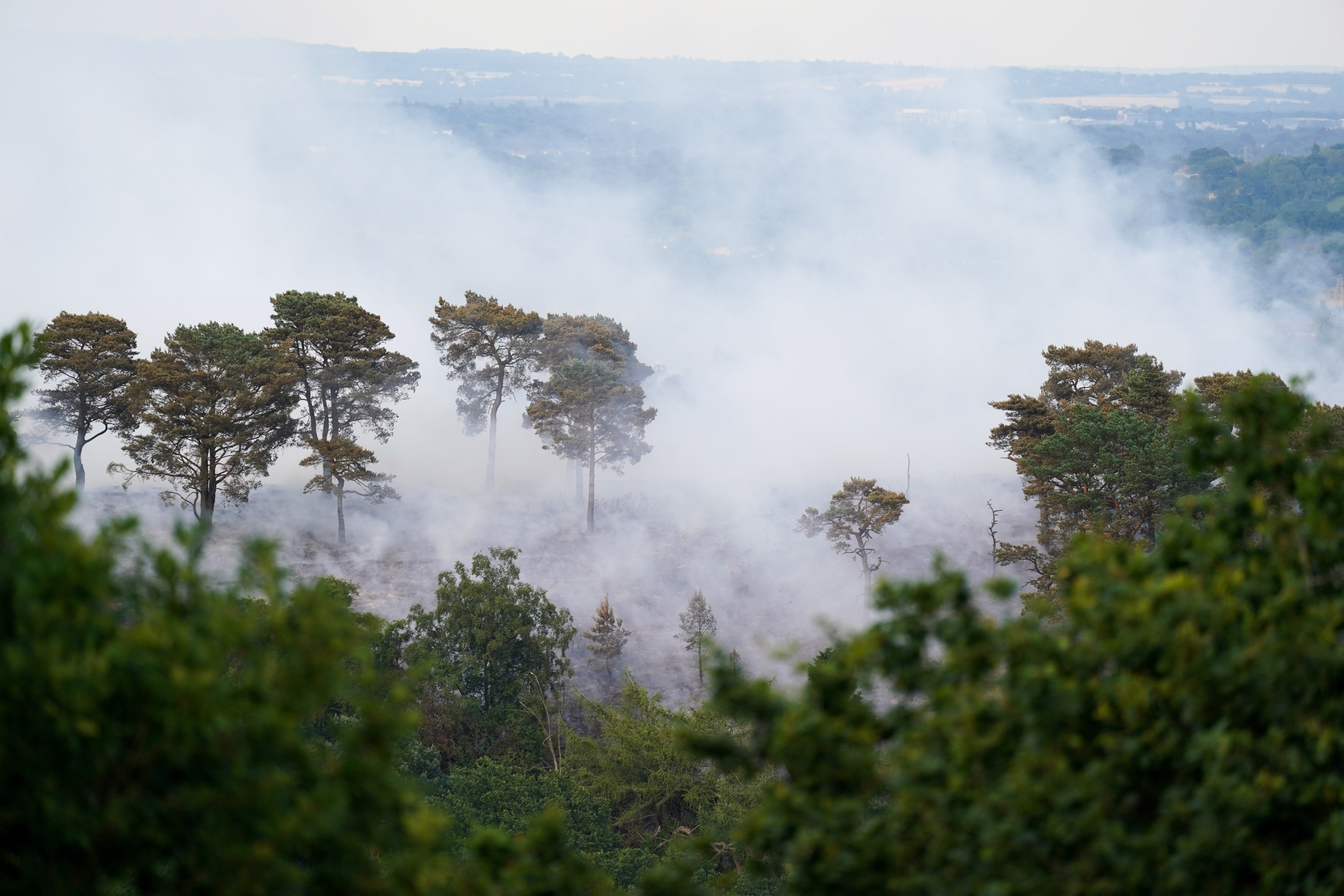 A large wildfire in woodland at Lickey Hills Country Park on the edge of Birmingham (Jacob King/PA)