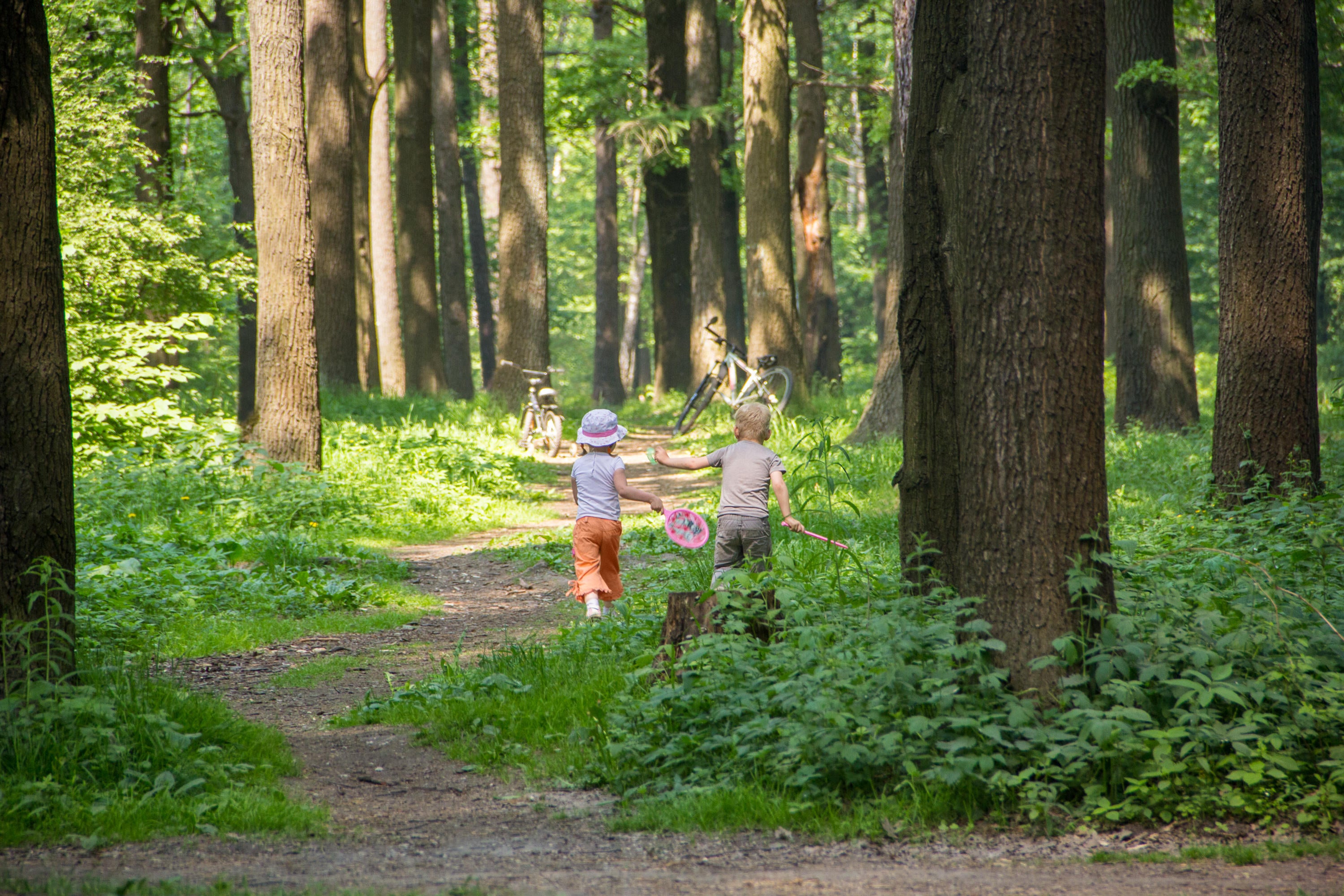 Get the kids active (Alamy/PA)