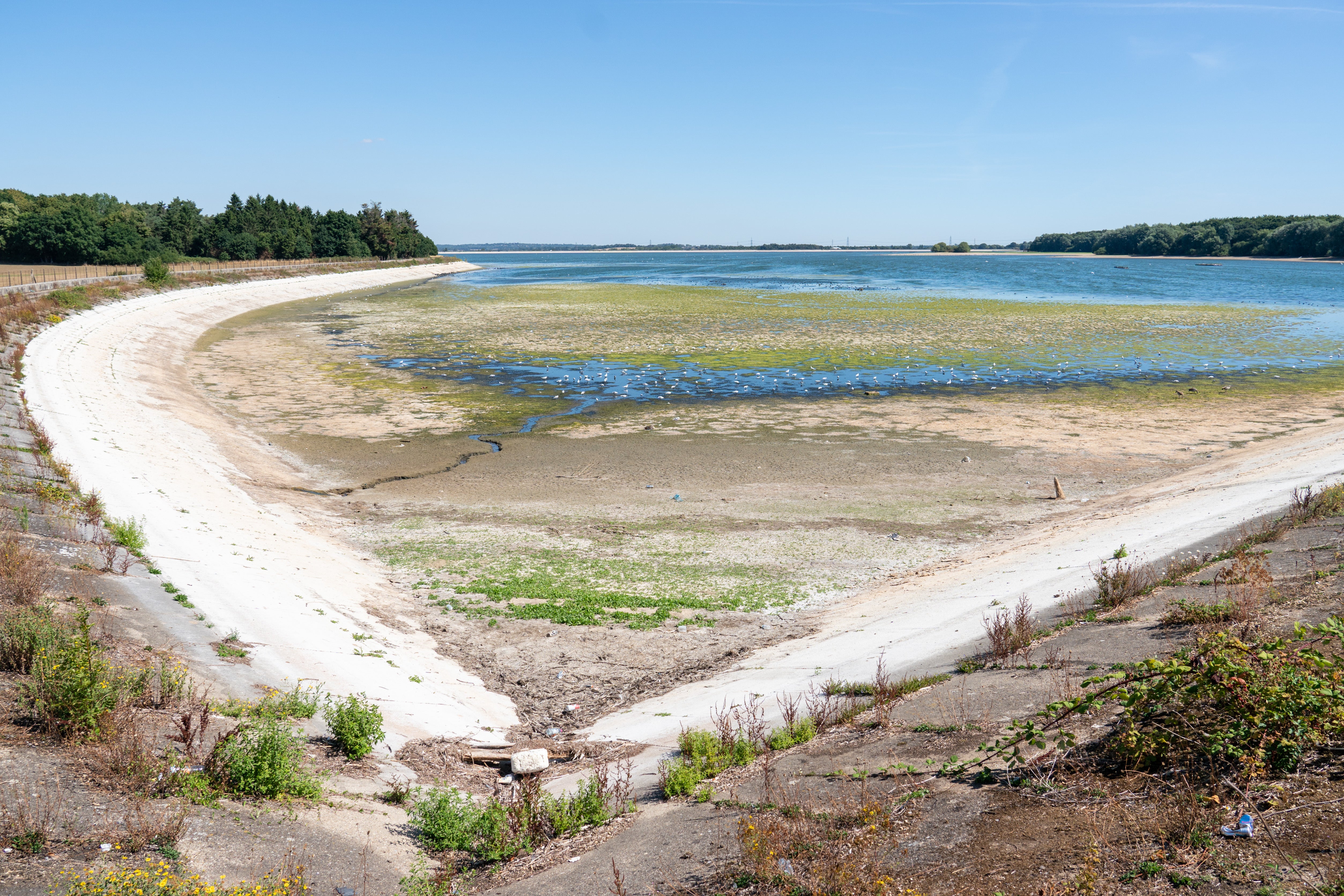 Reduced water levels at Hanningfield Reservoir, in Essex (Dominic Lipinski/PA)