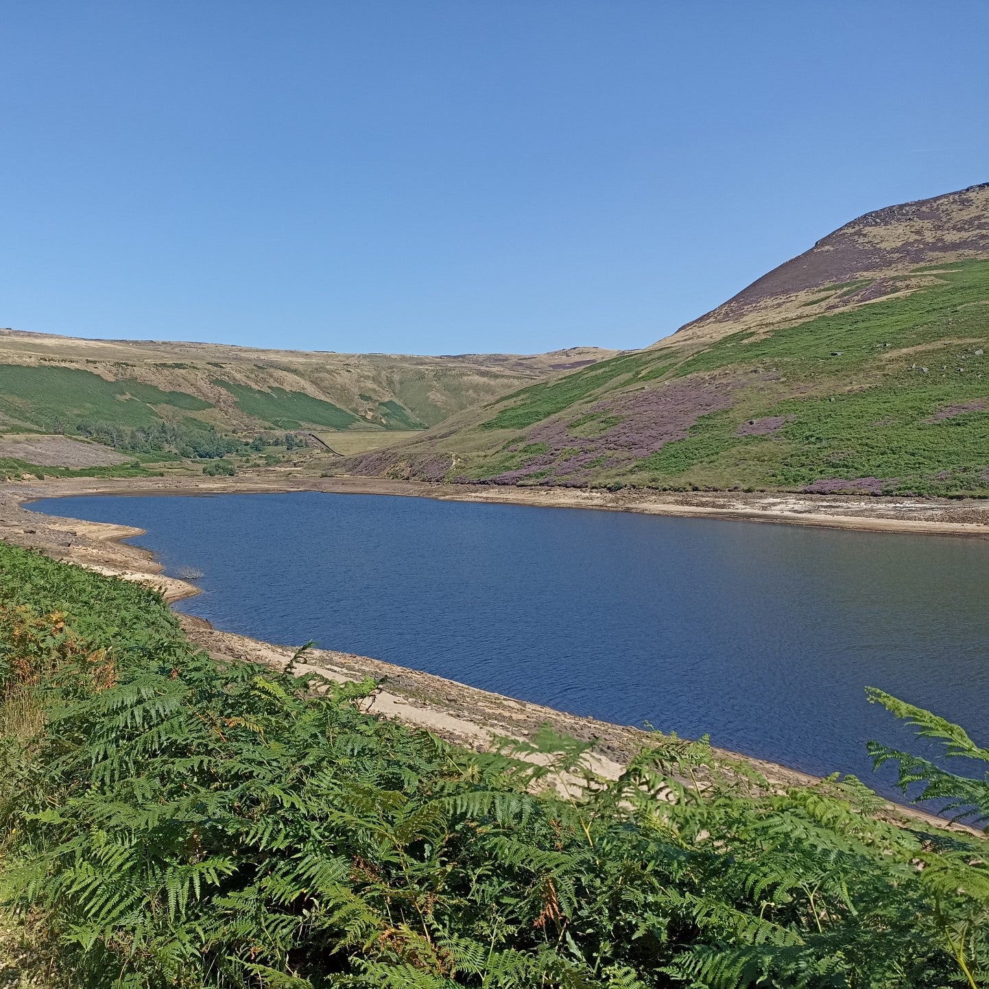 Dovestone Reservoir has experienced a dramatic drop in water levels due to the hot weather and little rainfall